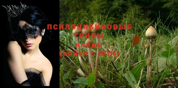 COCAINE Богородицк