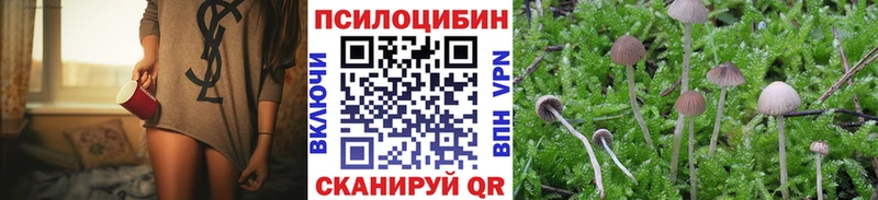 Купить  Ржев  Галлюциногенные грибы мицелий 